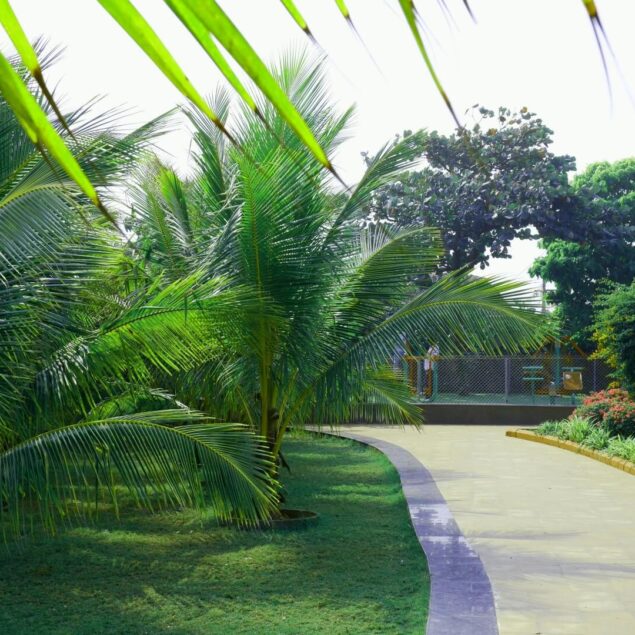 PULIZIA STAGIONALE DEL GIARDINO